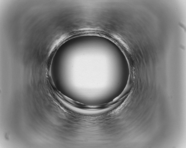 X0000094361357200711021501