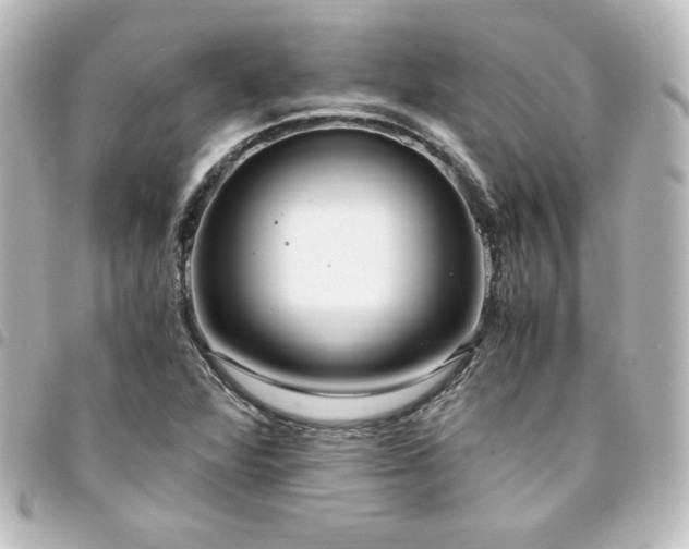 X0000094361360200711021501