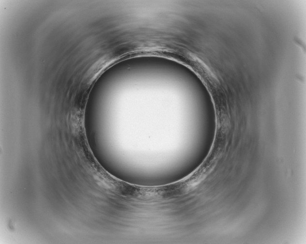 X0000094361361200711021501