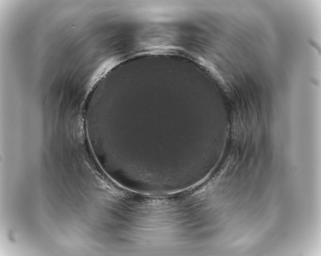 X0000094361362200711021501