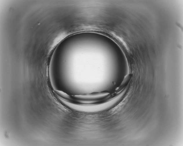 X0000094361365200711021501