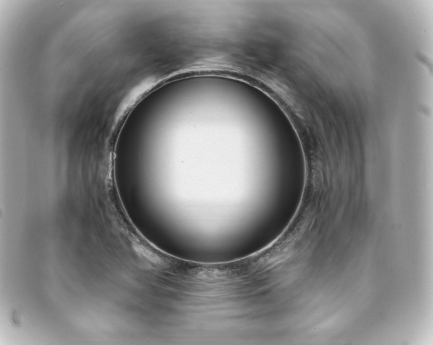 X0000094361366200711021501