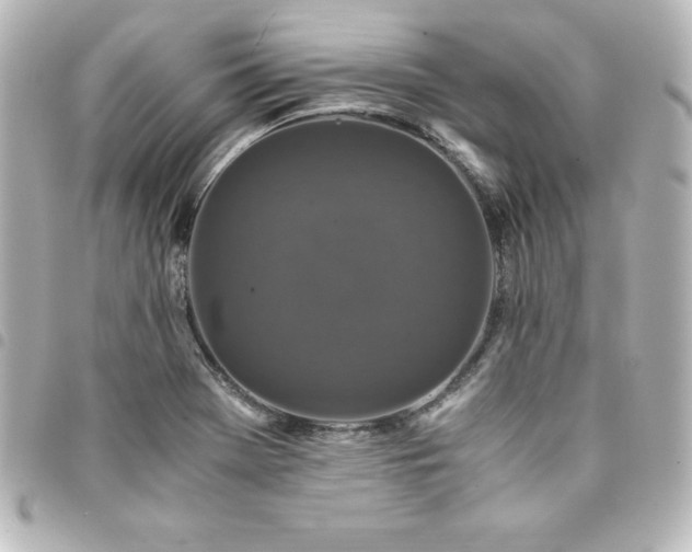 X0000094361369200711021501