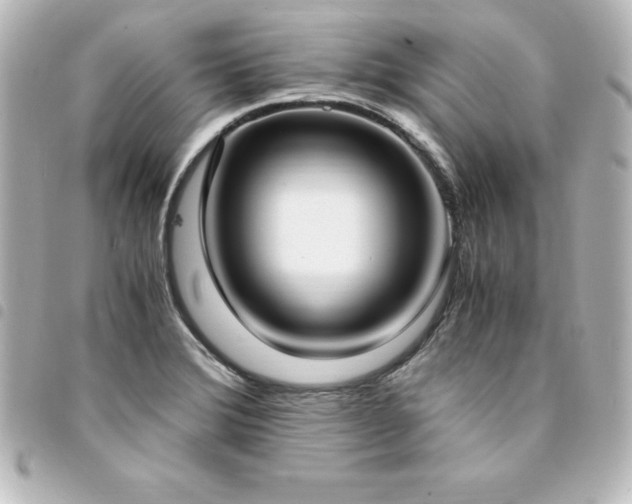 X0000094361372200711021501
