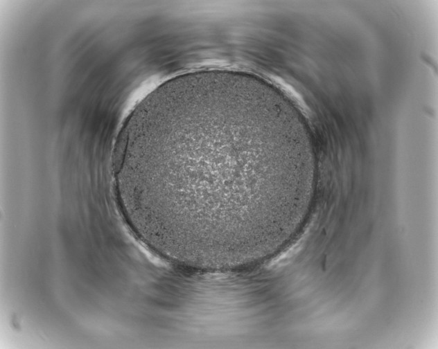 X0000094361373200711021501