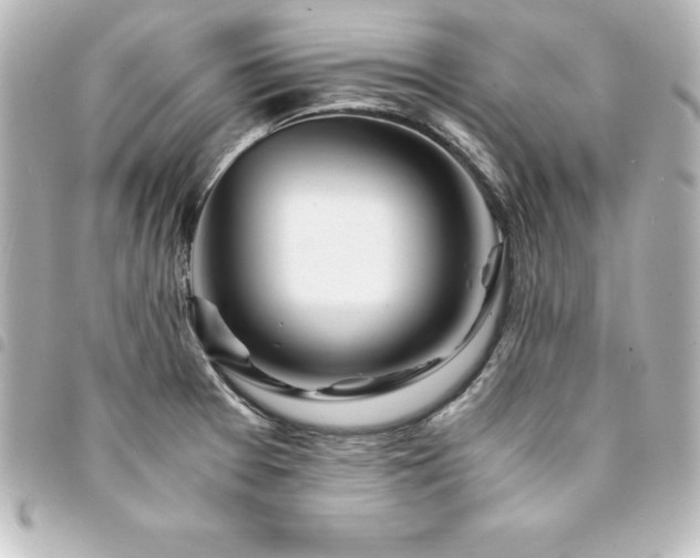 X0000094361377200711021501