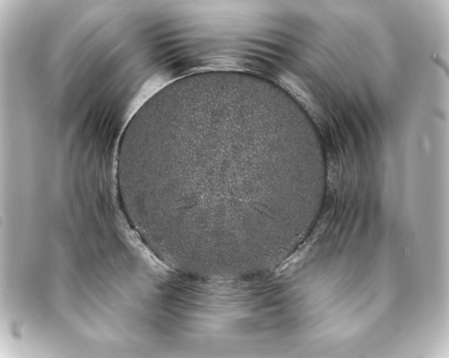 X0000094361378200711021501