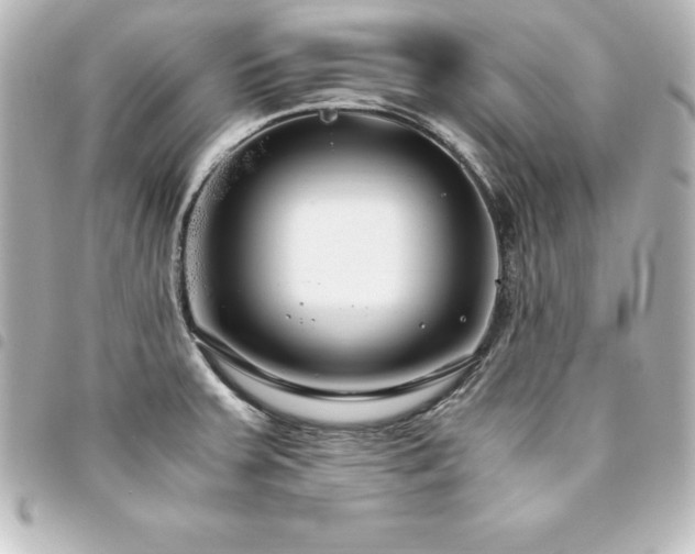 X0000094361379200711021501