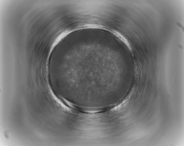 X0000094361381200711021501
