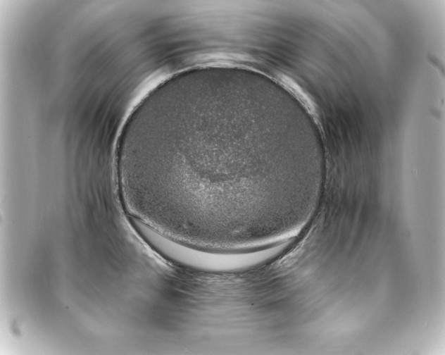 X0000094361384200711021501