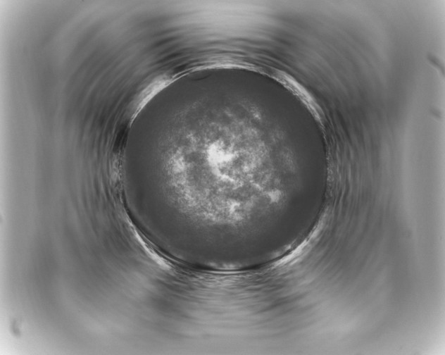 X0000094361385200711021501