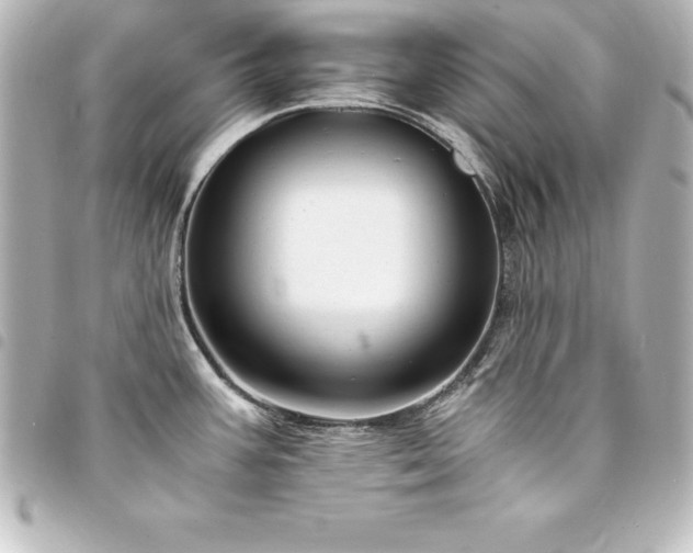 X0000094361387200711021501
