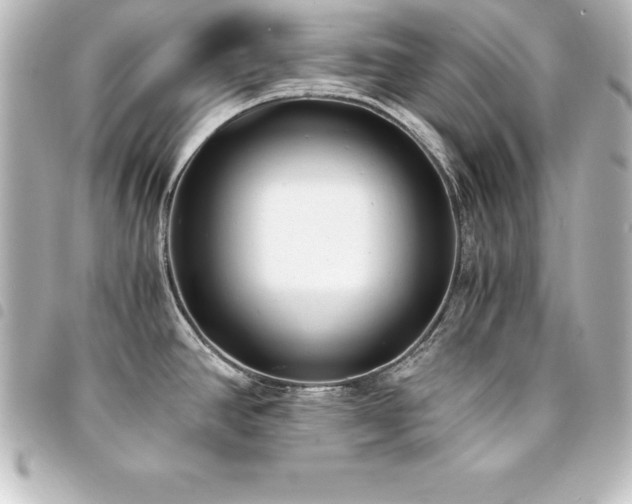 X0000094361390200711021501