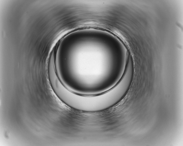 X0000094361392200711021501
