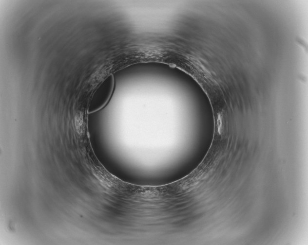 X0000094361395200711021500