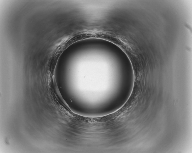 X0000094361398200711021500