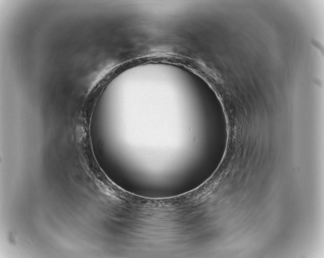 X0000094361400200711021500
