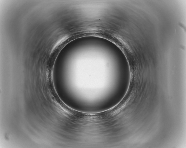 X0000094361402200711021500