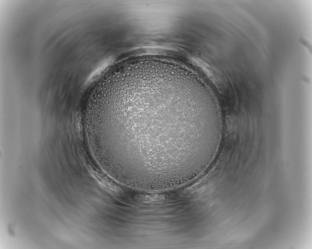 X0000094361403200711021500