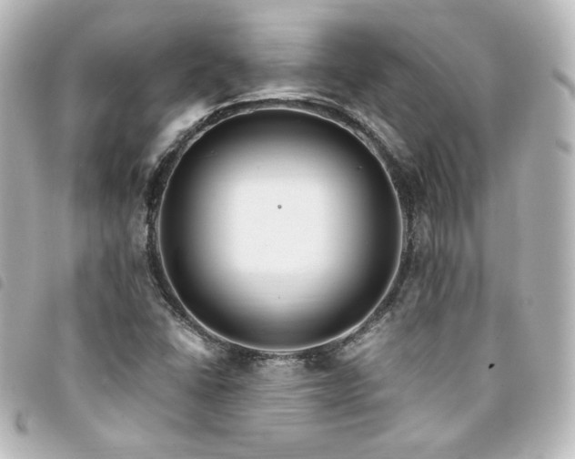 X0000094361406200711021500
