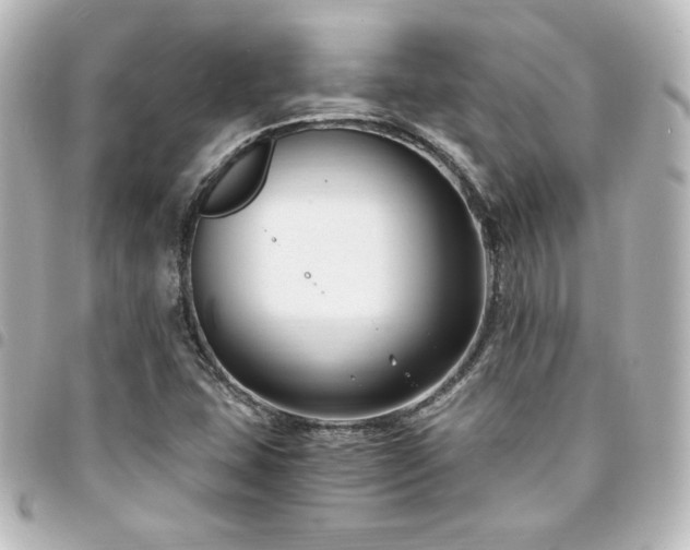 X0000094361407200711021500
