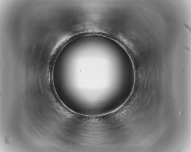 X0000094361408200711021500