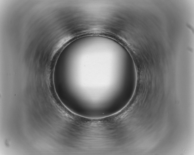 X0000094361410200711021500
