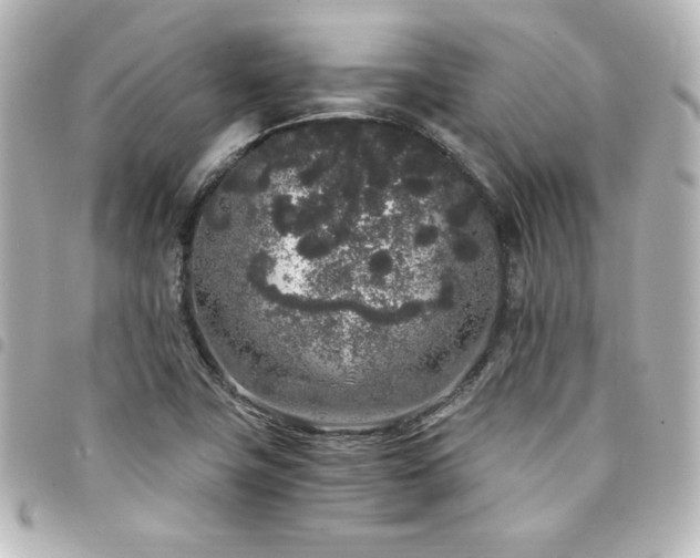 X0000094361411200711021500