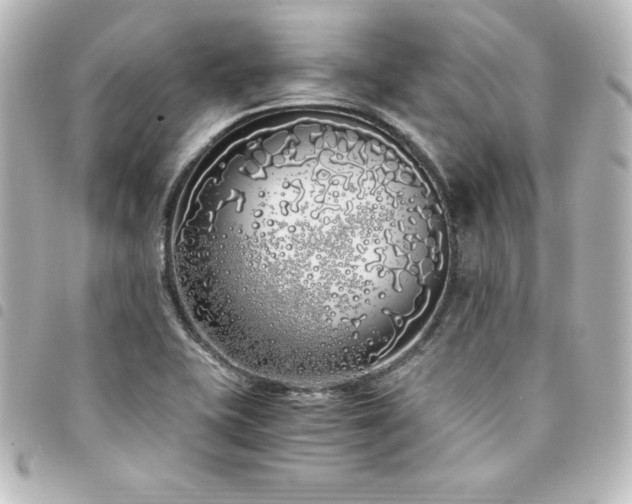 X0000094361415200711021500