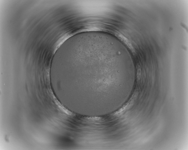 X0000094361417200711021500