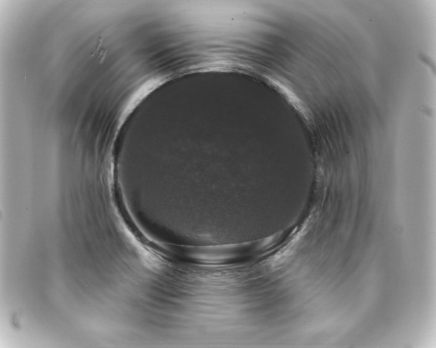 X0000094361418200711021500