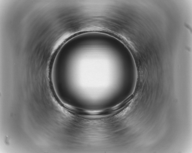 X0000094361422200711021500