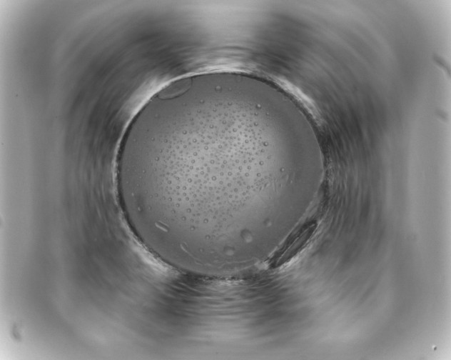 X0000094361423200711021500