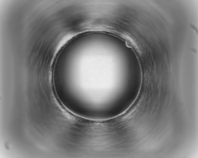 X0000094361424200711021500