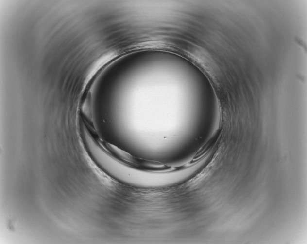 X0000094361426200711021500