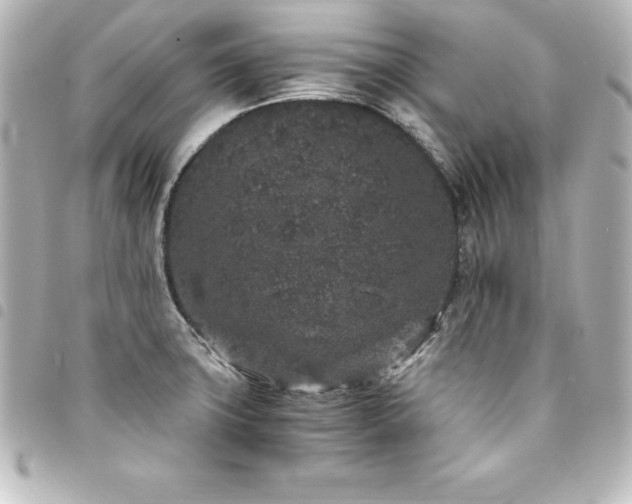 X0000094361427200711021500