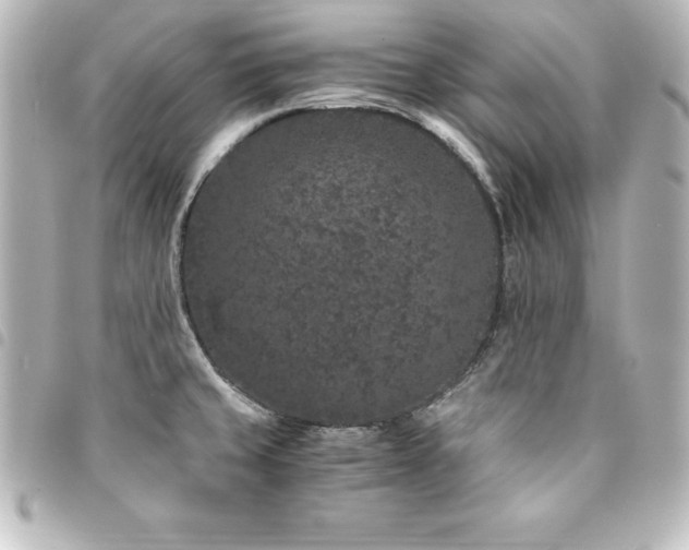 X0000094361429200711021500
