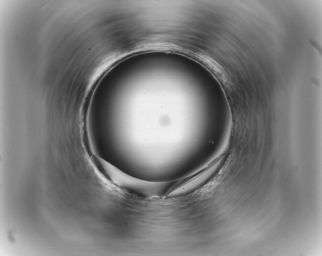 X0000094361430200711021500