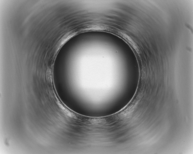 X0000094361433200711021500