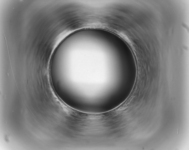 X0000094361440200711021501