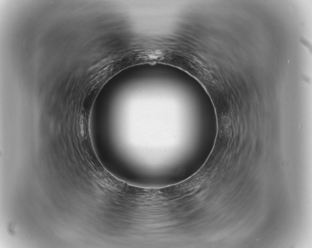 X0000094361442200711021500