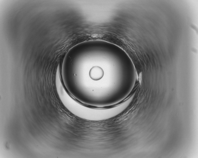 X0000094361443200711021500
