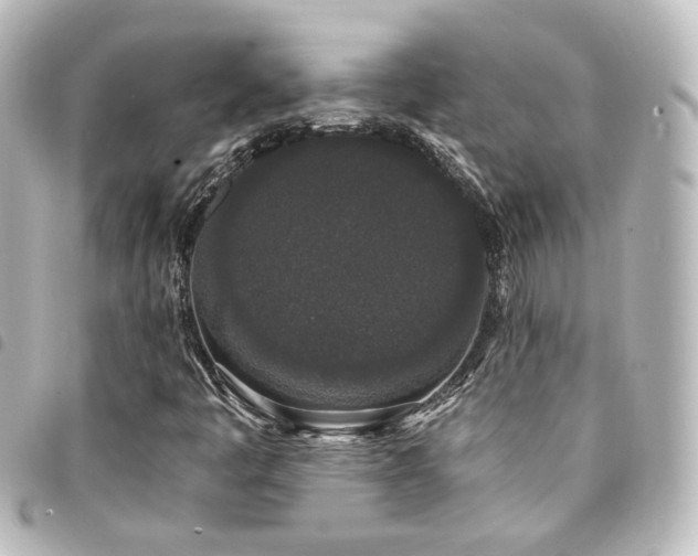 X0000094361445200711021500