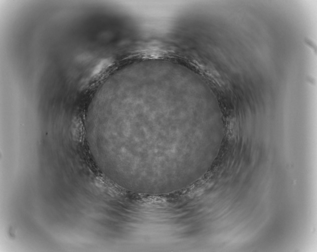 X0000094361446200711021500