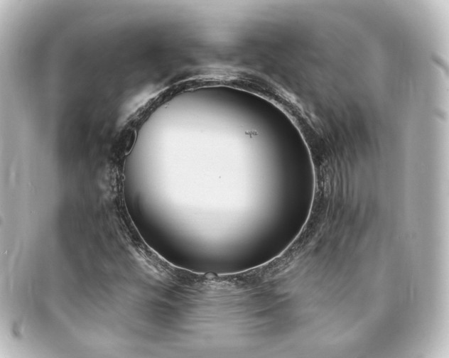 X0000094361448200711021500