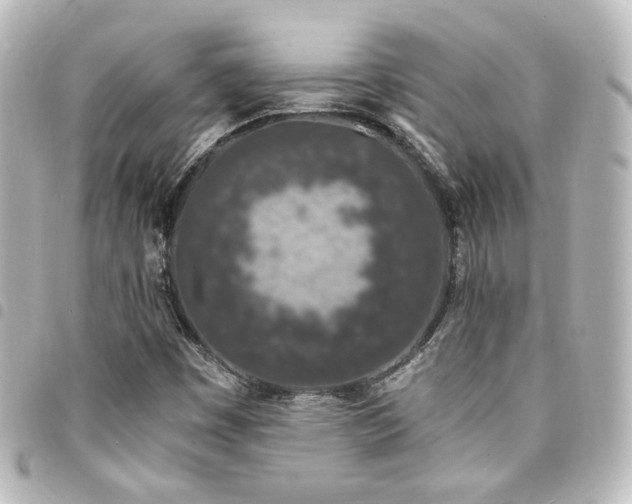 X0000094361449200711021500