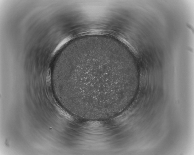 X0000094361450200711021500