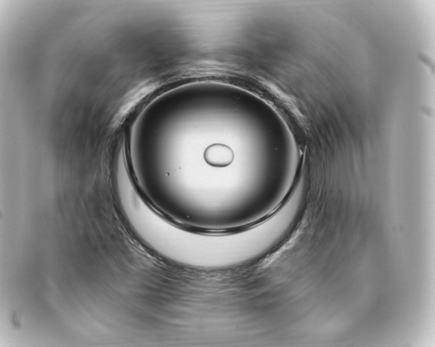 X0000094361453200711021500