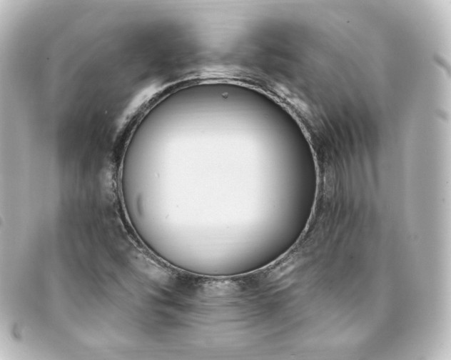 X0000094361454200711021500