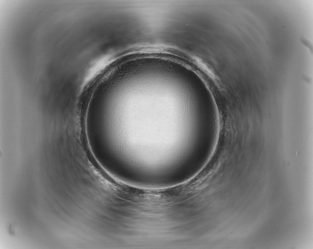 X0000094361456200711021500
